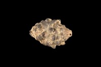 藏品(結螺)的圖片